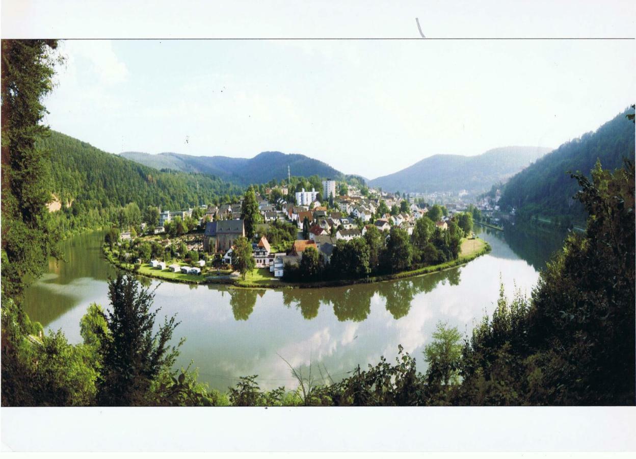 Ferienwohnung Christel Hirschhorn-Neckar Экстерьер фото